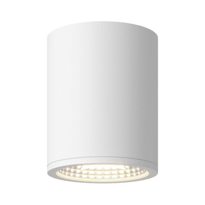 Nordic Outdoor LED Flush Mount Ceiling Light in White (6-Inch/5-Inch).