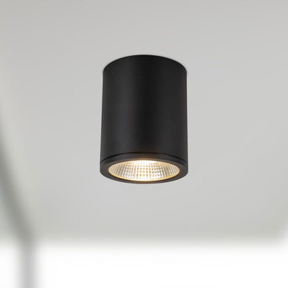 Nordic Outdoor LED Flush Mount Ceiling Light in Detail.