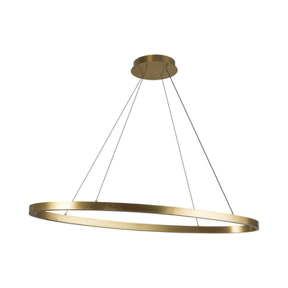 Ovale LED Linear Pendant Light in Detail.