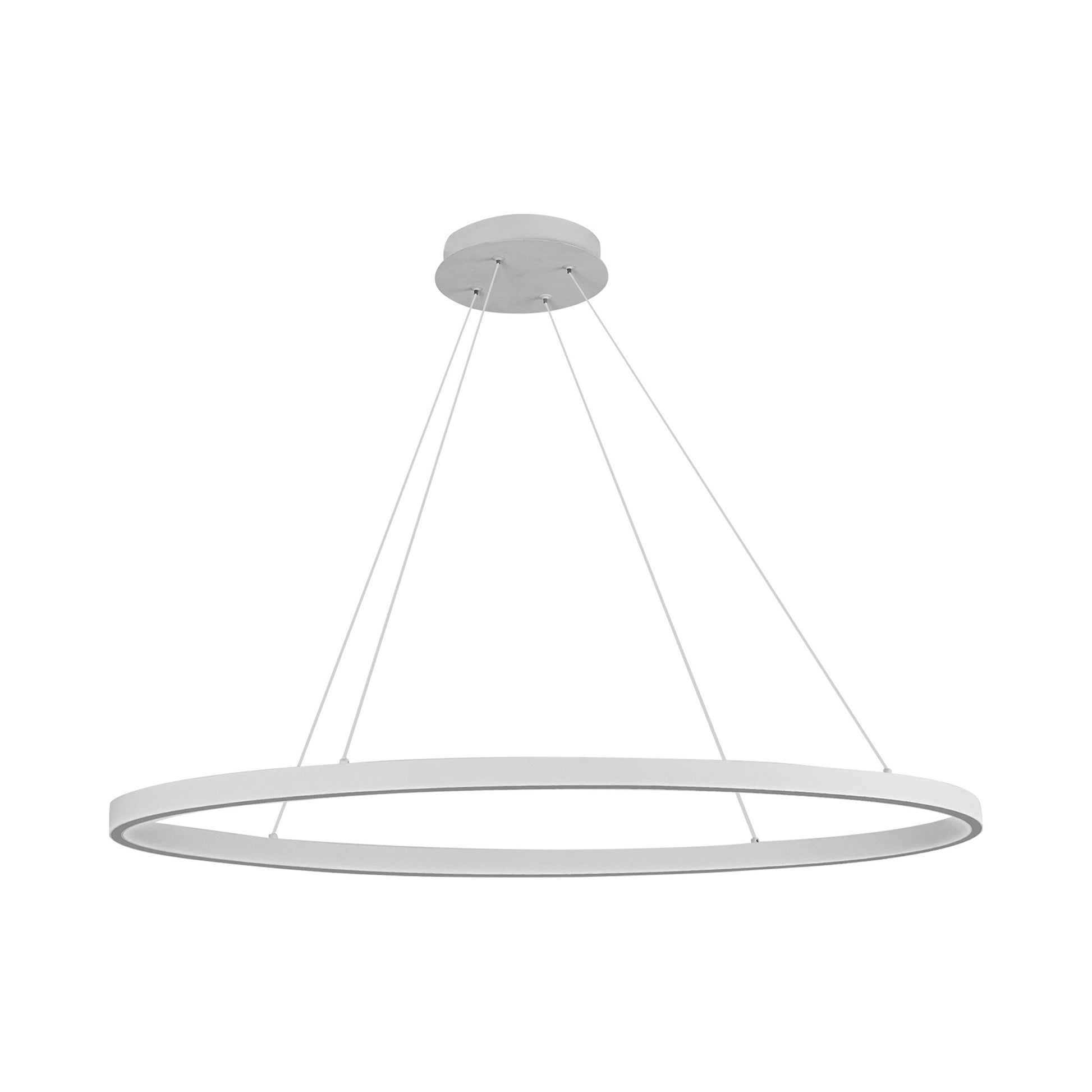 Ovale LED Linear Pendant Light in Detail.