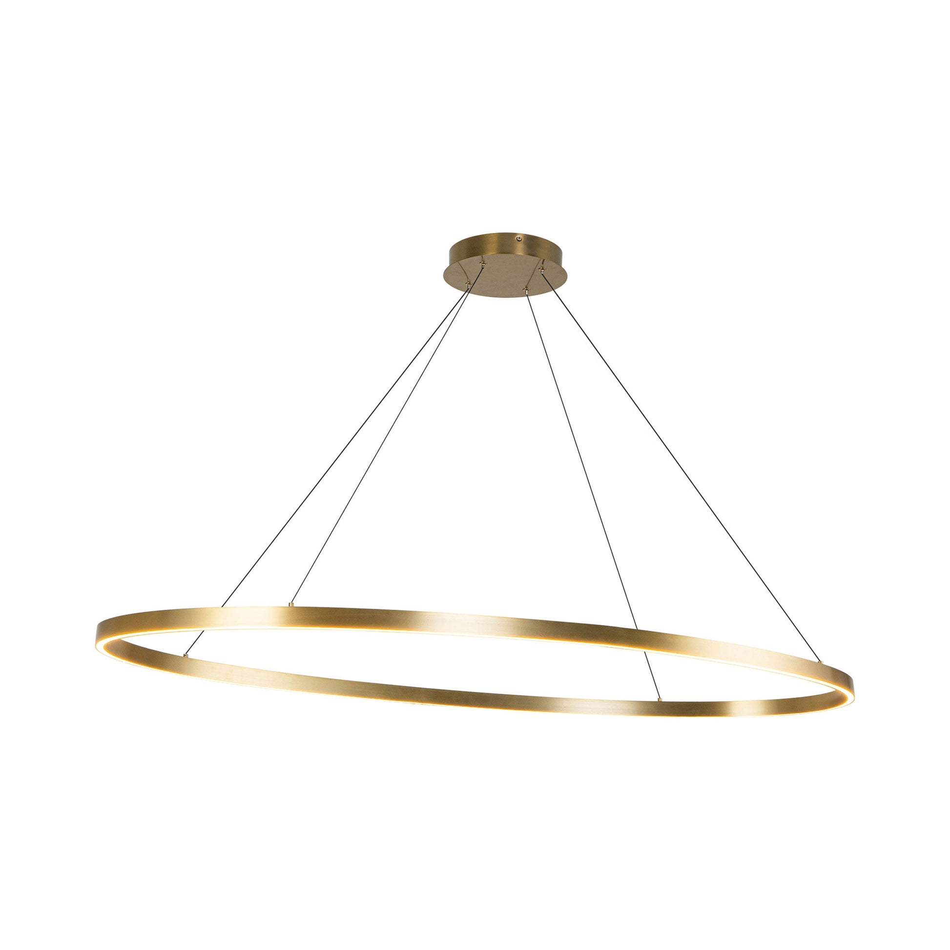 Ovale LED Linear Pendant Light in Detail.