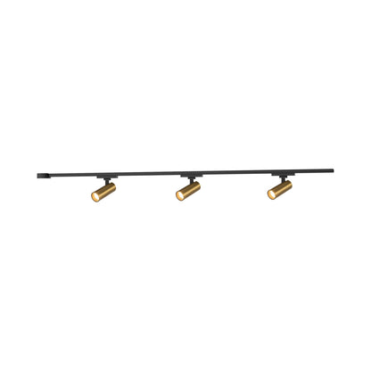 Paolo Trilo Multi Light LED Track Light in Brushed Gold (3-Head/2-Inch).