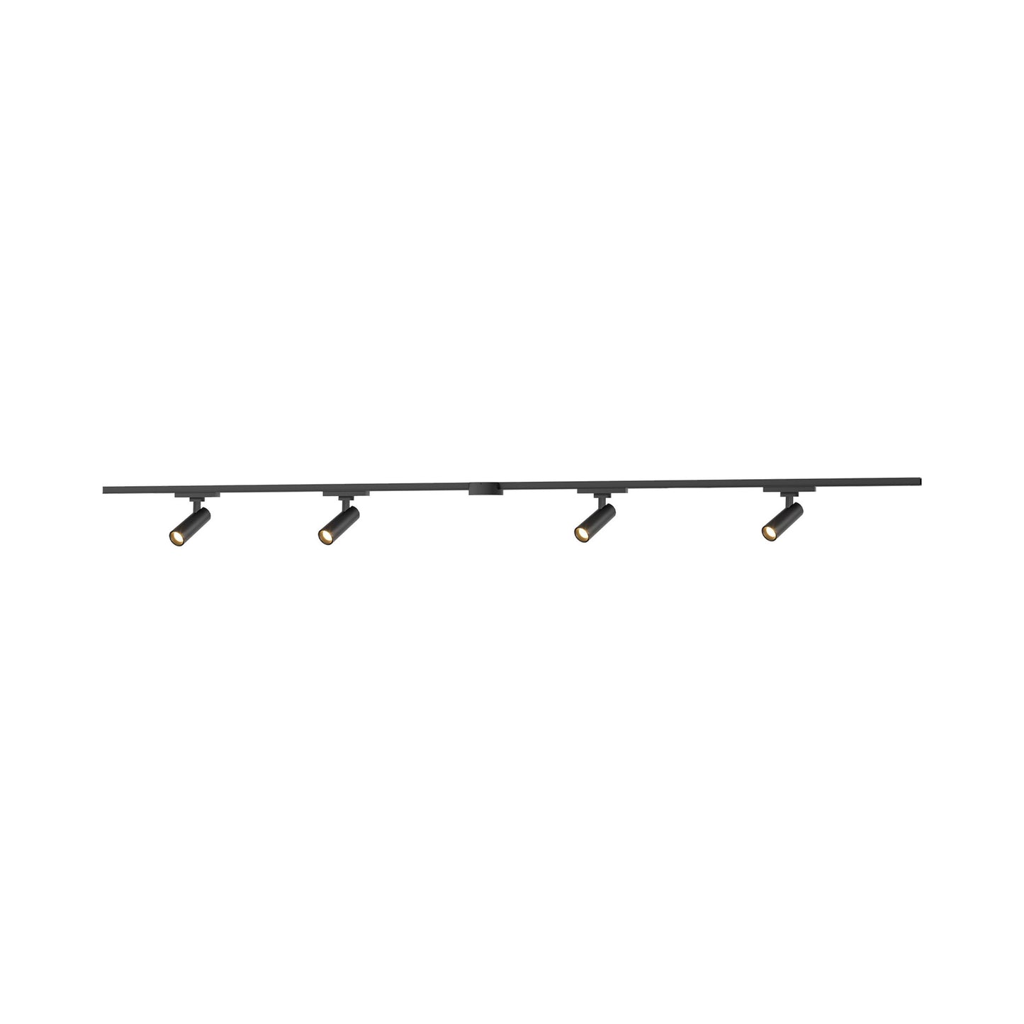 Paolo Trilo Multi Light LED Track Light in Black (4-Head/1.63-Inch).