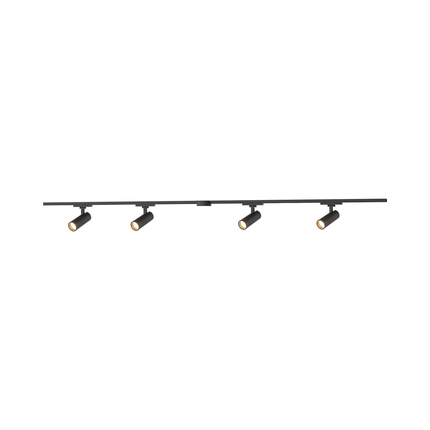 Paolo Trilo Multi Light LED Track Light in Black (4-Head/2-Inch).