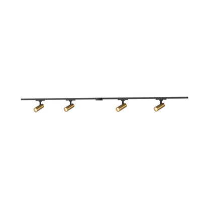 Paolo Trilo Multi Light LED Track Light in Brushed Gold (4-Head/2-Inch).