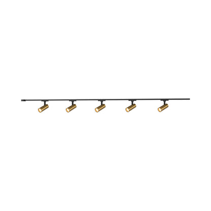 Paolo Trilo Multi Light LED Track Light in Brushed Gold (5-Head/2-Inch).