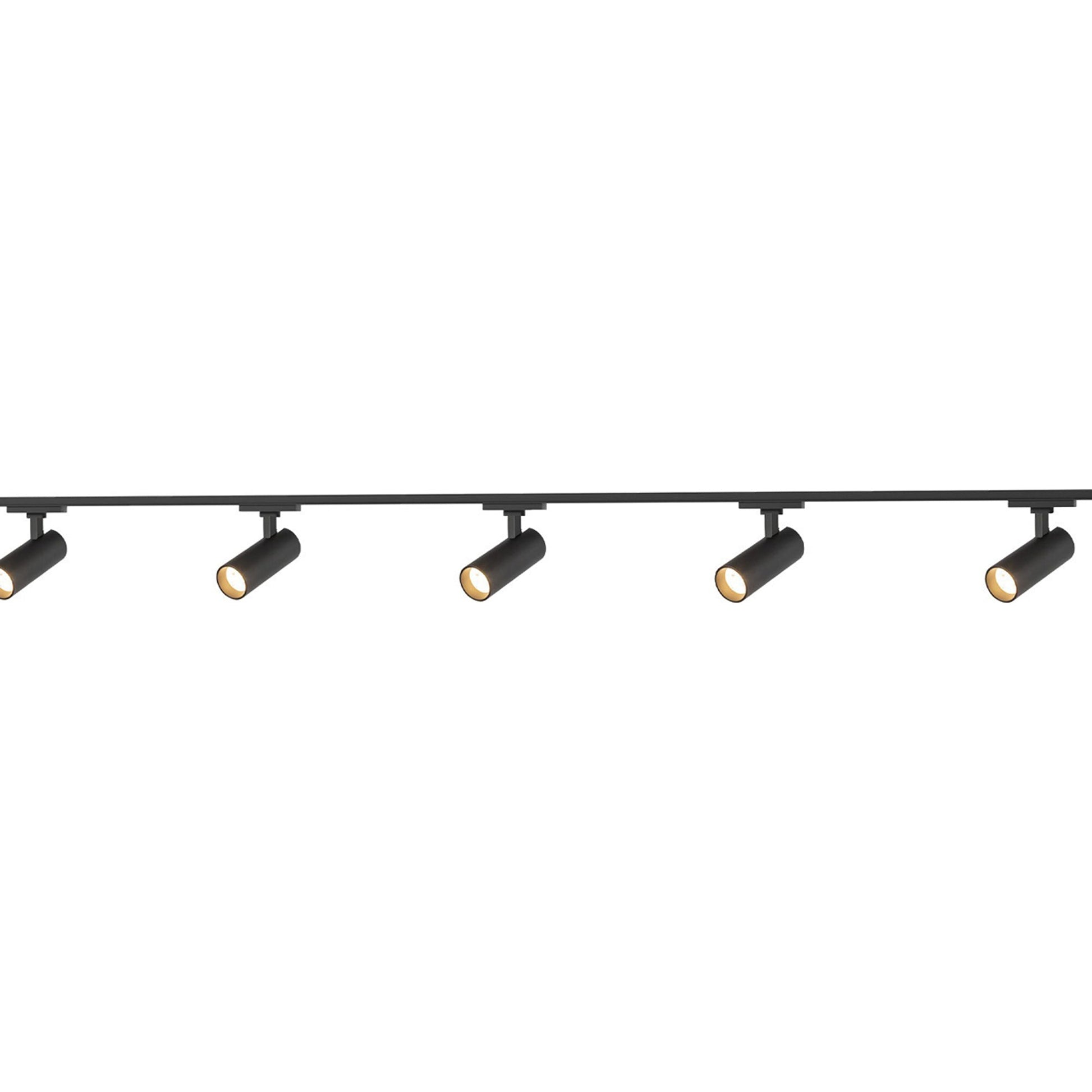 Paolo Trilo Multi Light LED Track Light in Detail.