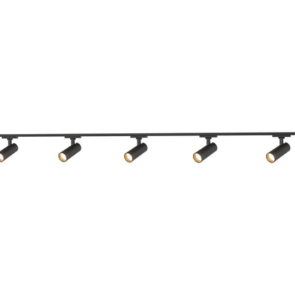 Paolo Trilo Multi Light LED Track Light in Detail.