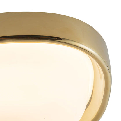 Pebble LED Flush Mount Ceiling Light in Detail.