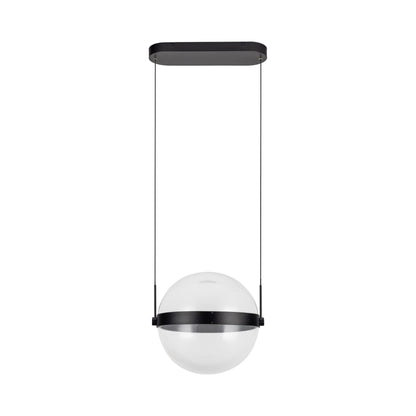Pisces LED Pendant Light in Detail.