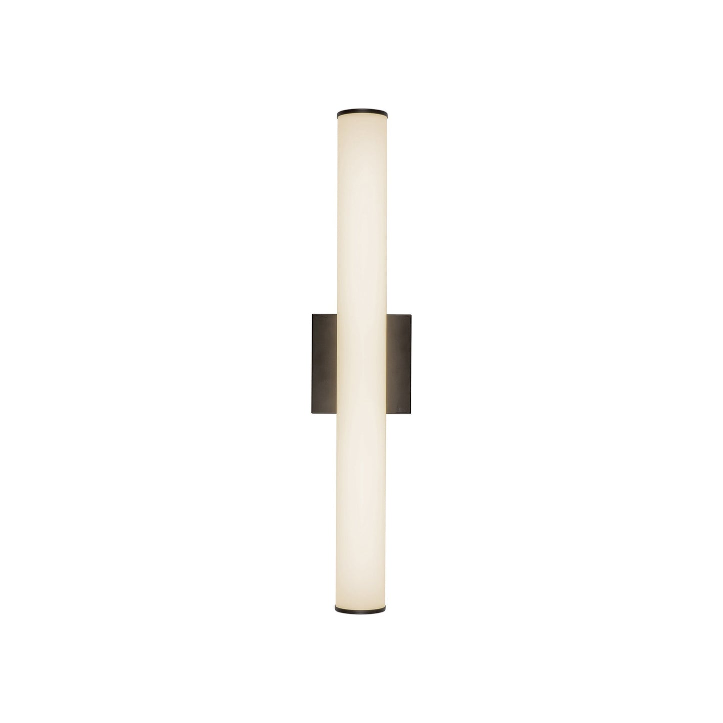 Rico LED Bath Wall Light in Black (24.13-Inch).