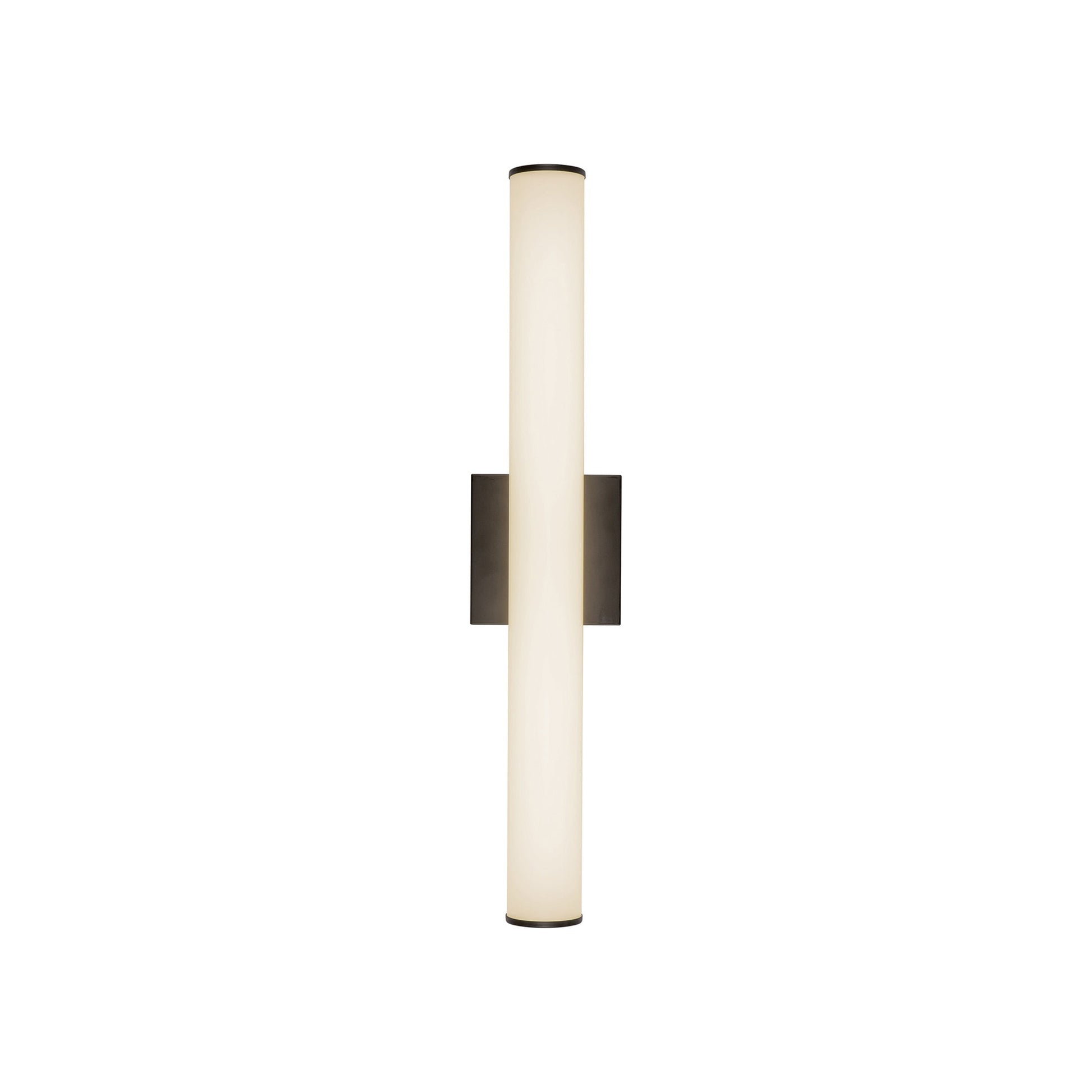 Rico LED Bath Wall Light in Black (24.13-Inch).