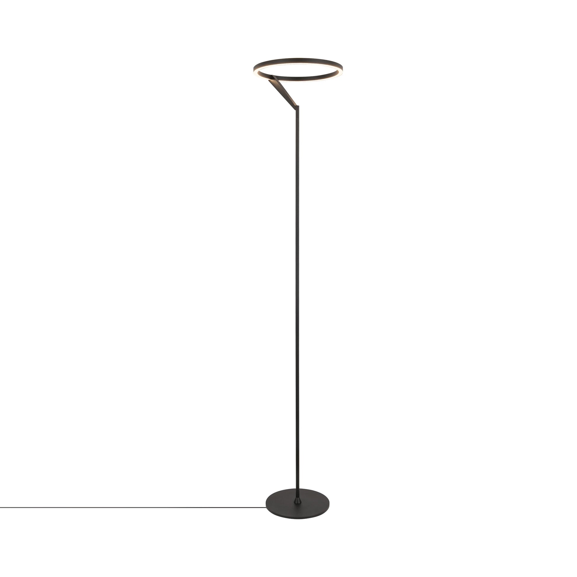 Roda LED Floor Lamp in Black.
