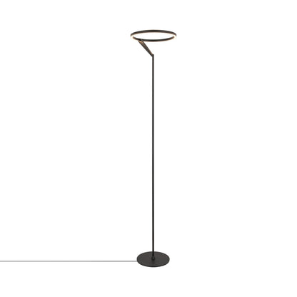 Roda LED Floor Lamp in Black.