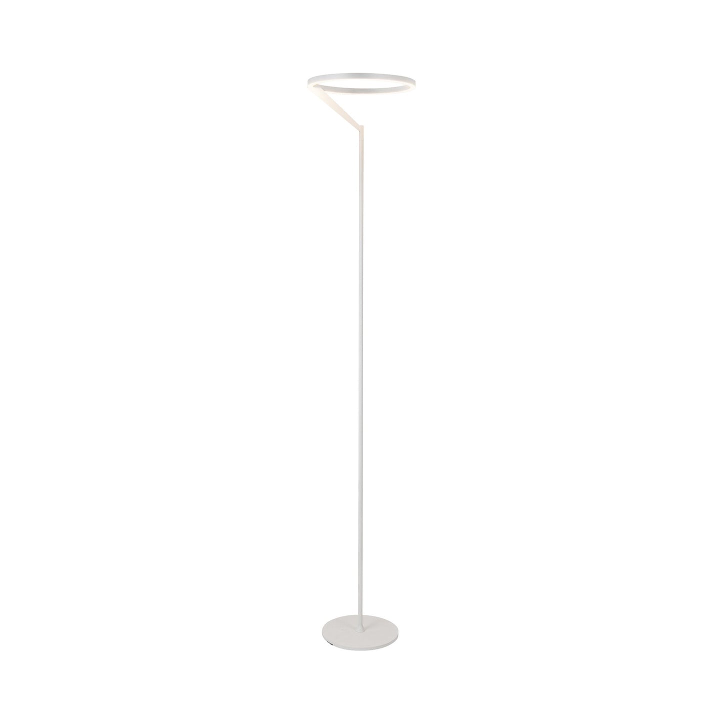 Roda LED Floor Lamp in Detail.