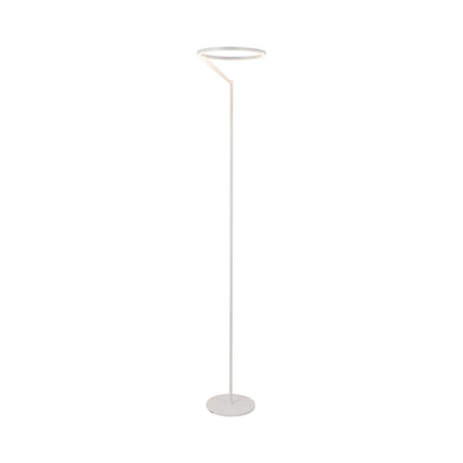 Roda LED Floor Lamp in Detail.