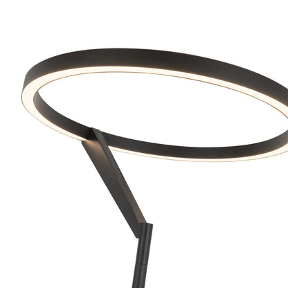 Roda LED Floor Lamp in Detail.
