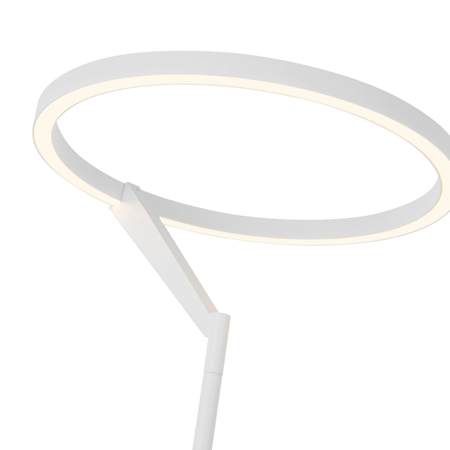 Roda LED Floor Lamp in Detail.