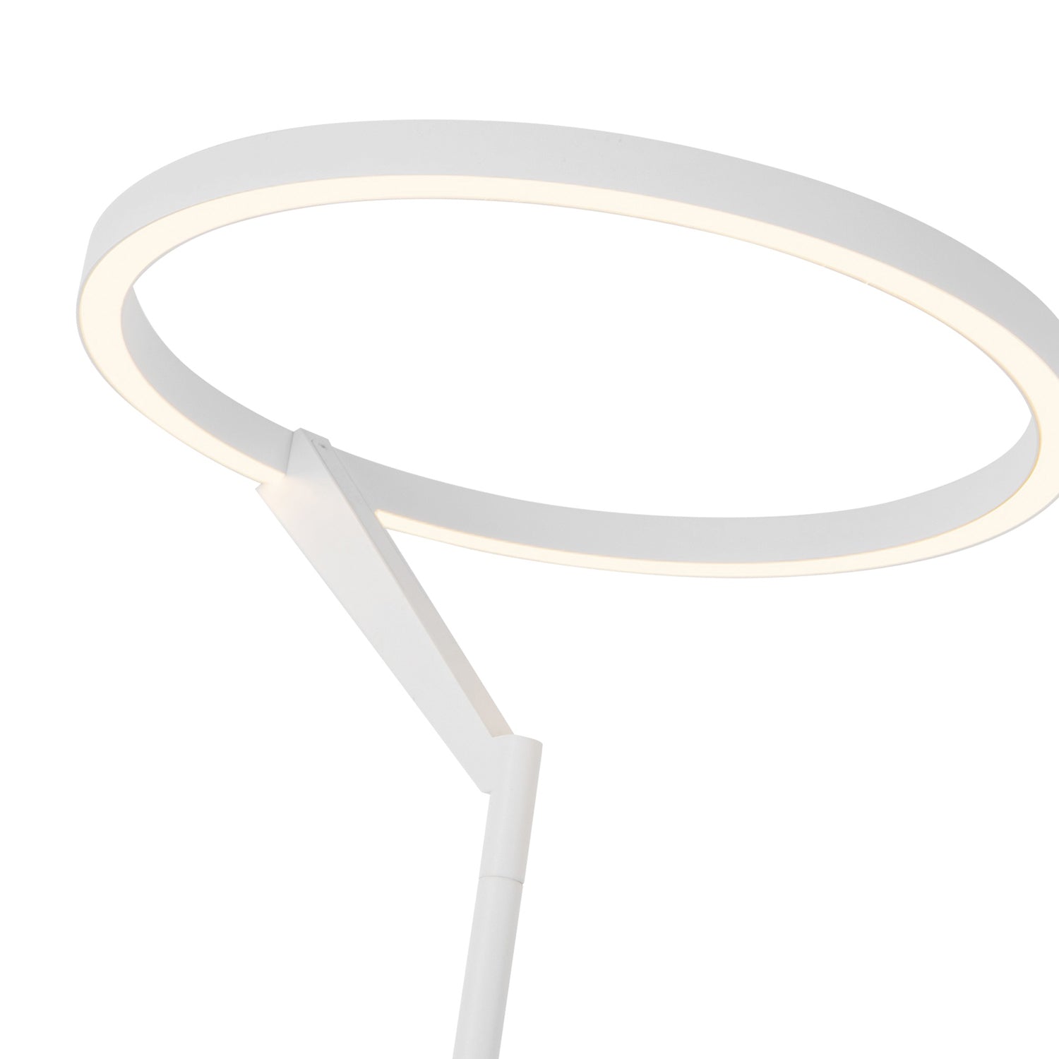 Roda LED Floor Lamp in Detail.