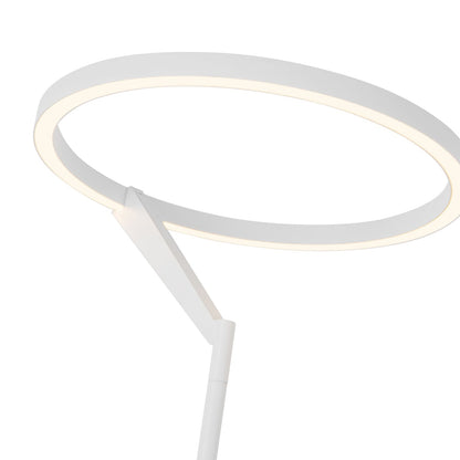 Roda LED Floor Lamp in Detail.