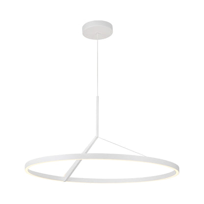 Roda LED Pendant Light.
