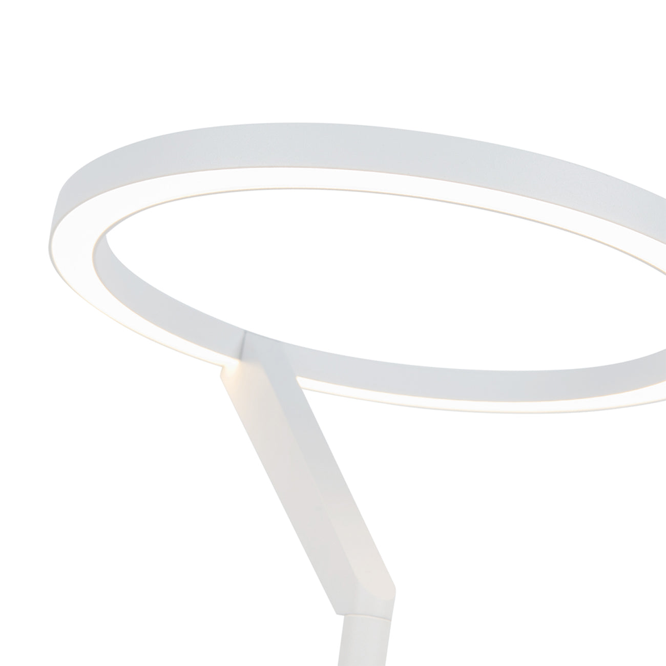 Roda LED Table Lamp in Detail.