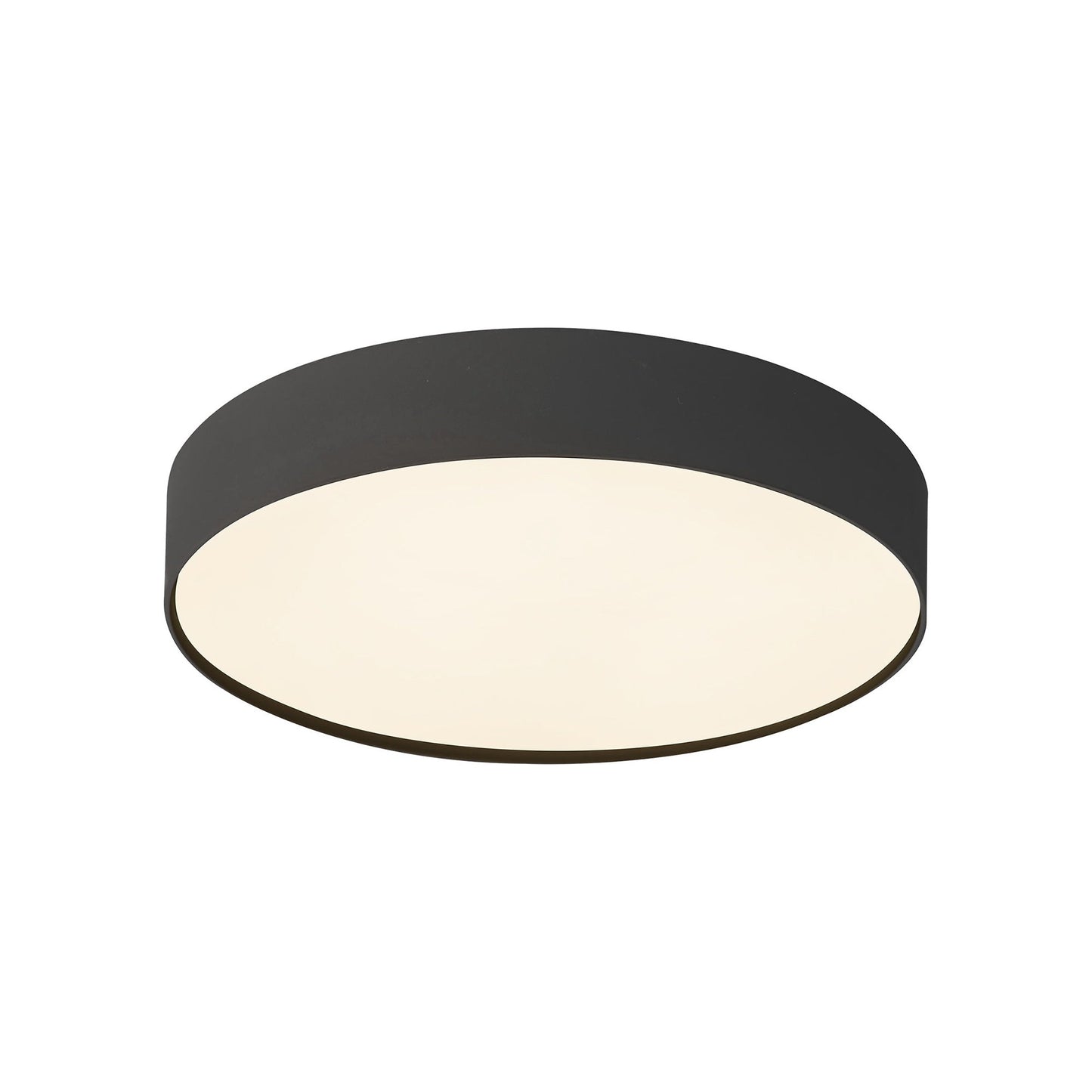 Rynn LED Flush Mount Ceiling Light in Black (5.25-Inch).