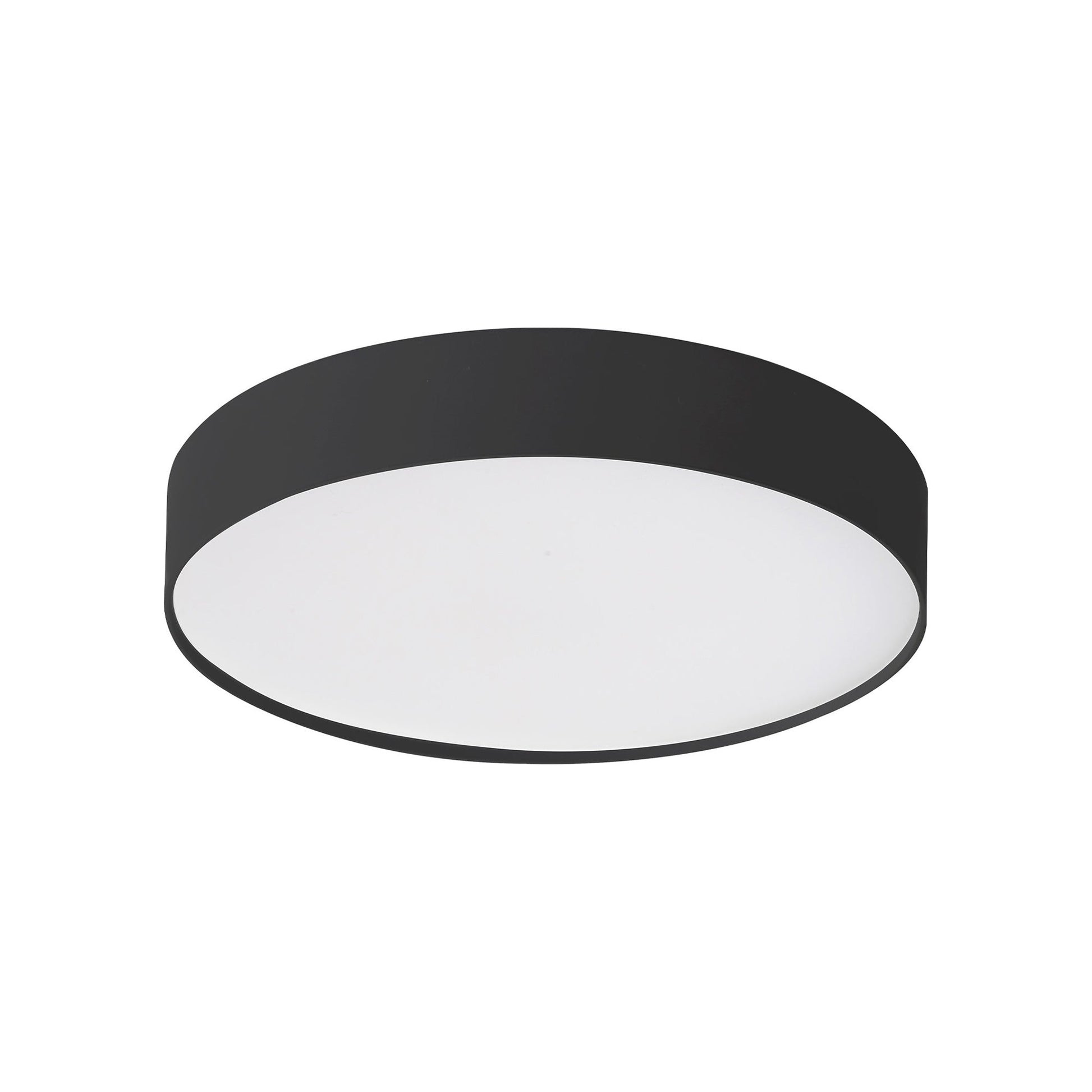 Rynn LED Flush Mount Ceiling Light.