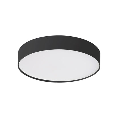 Rynn LED Flush Mount Ceiling Light.