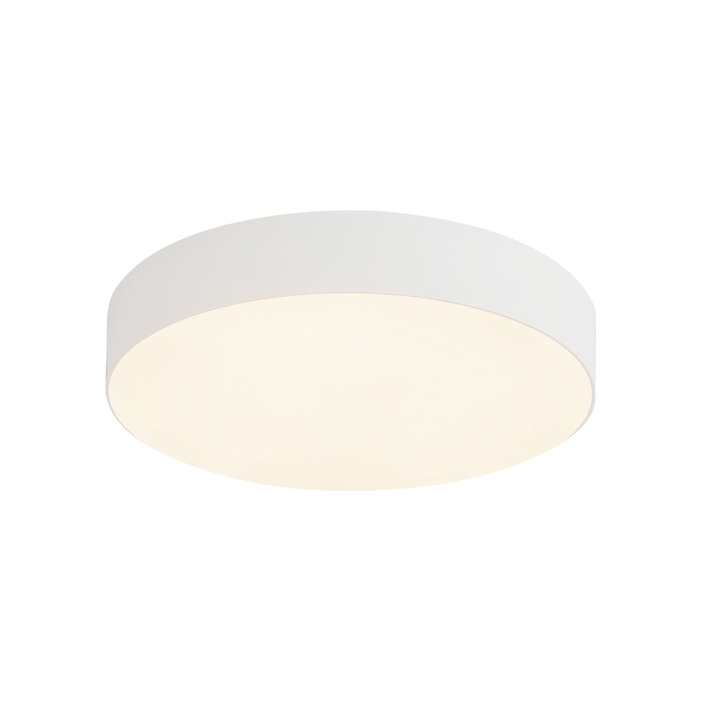 Rynn LED Flush Mount Ceiling Light in White (5.25-Inch).