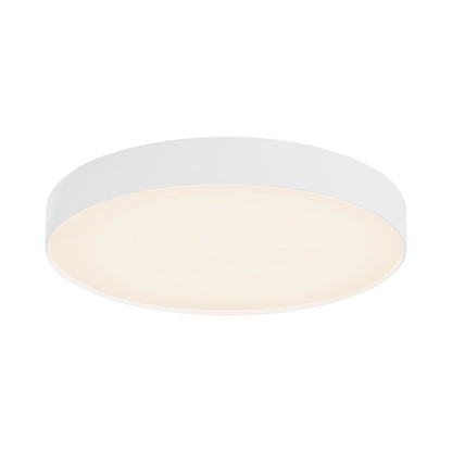 Rynn LED Flush Mount Ceiling Light in White (7.13-Inch).