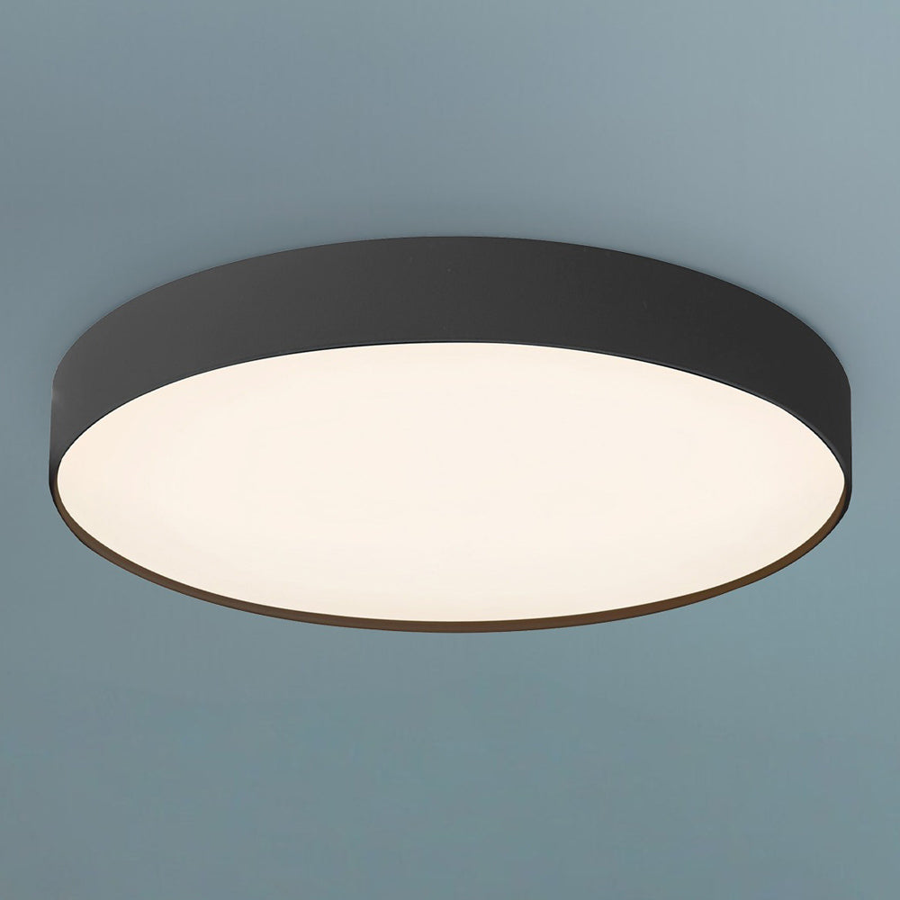 Rynn LED Flush Mount Ceiling Light in Detail.