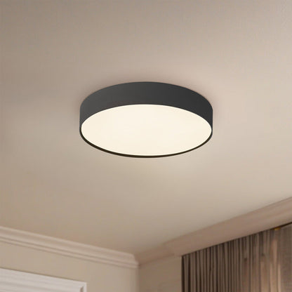 Rynn LED Flush Mount Ceiling Light in Detail.