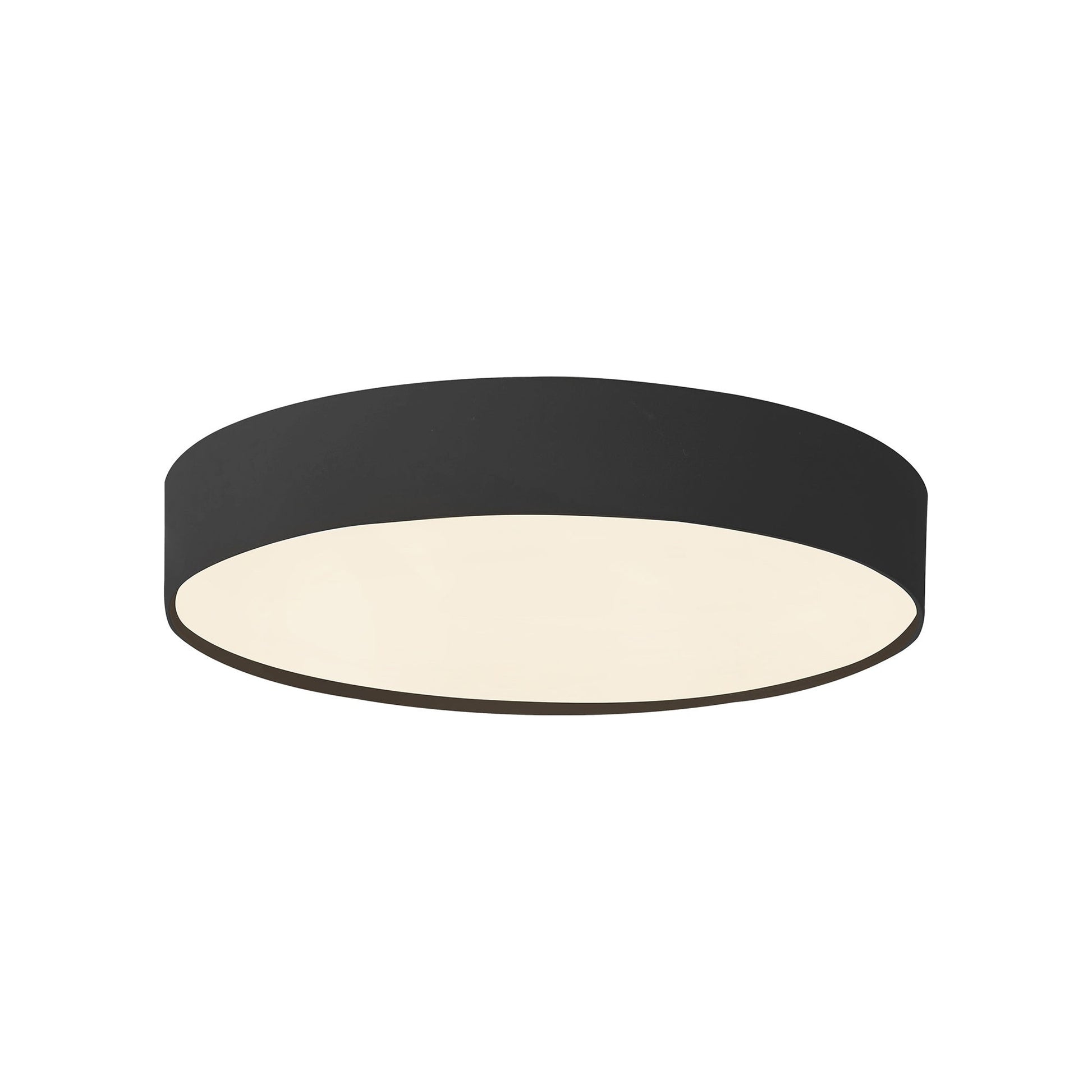 Rynn LED Flush Mount Ceiling Light in Detail.