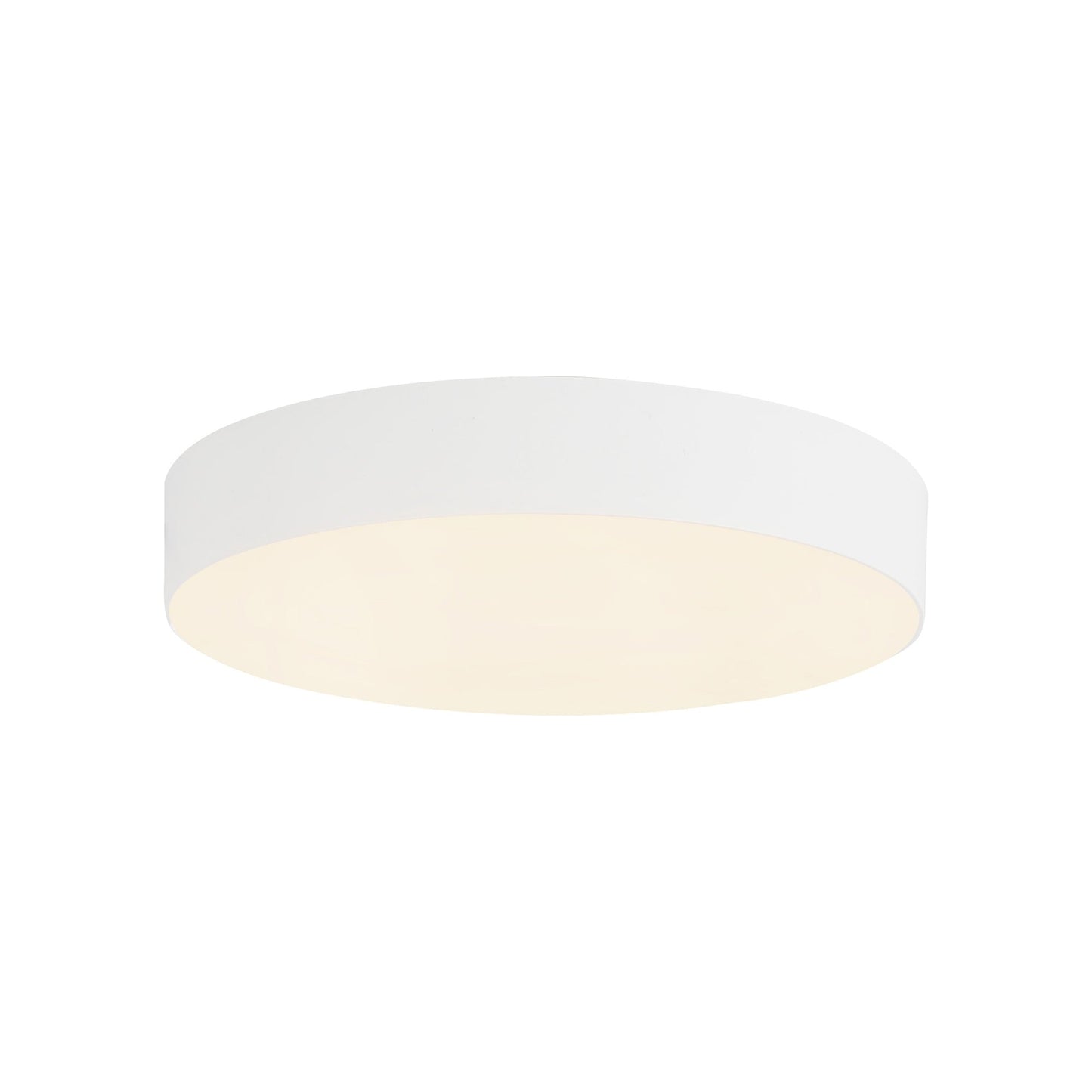 Rynn LED Flush Mount Ceiling Light in Detail.