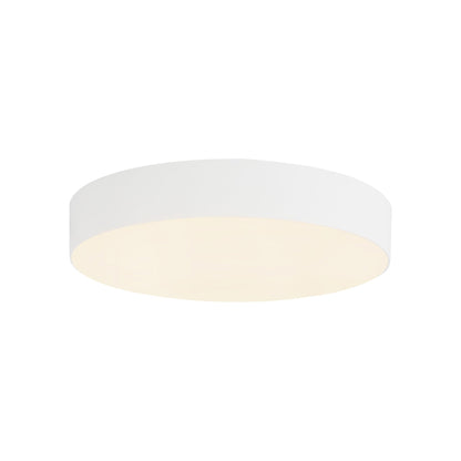 Rynn LED Flush Mount Ceiling Light in Detail.