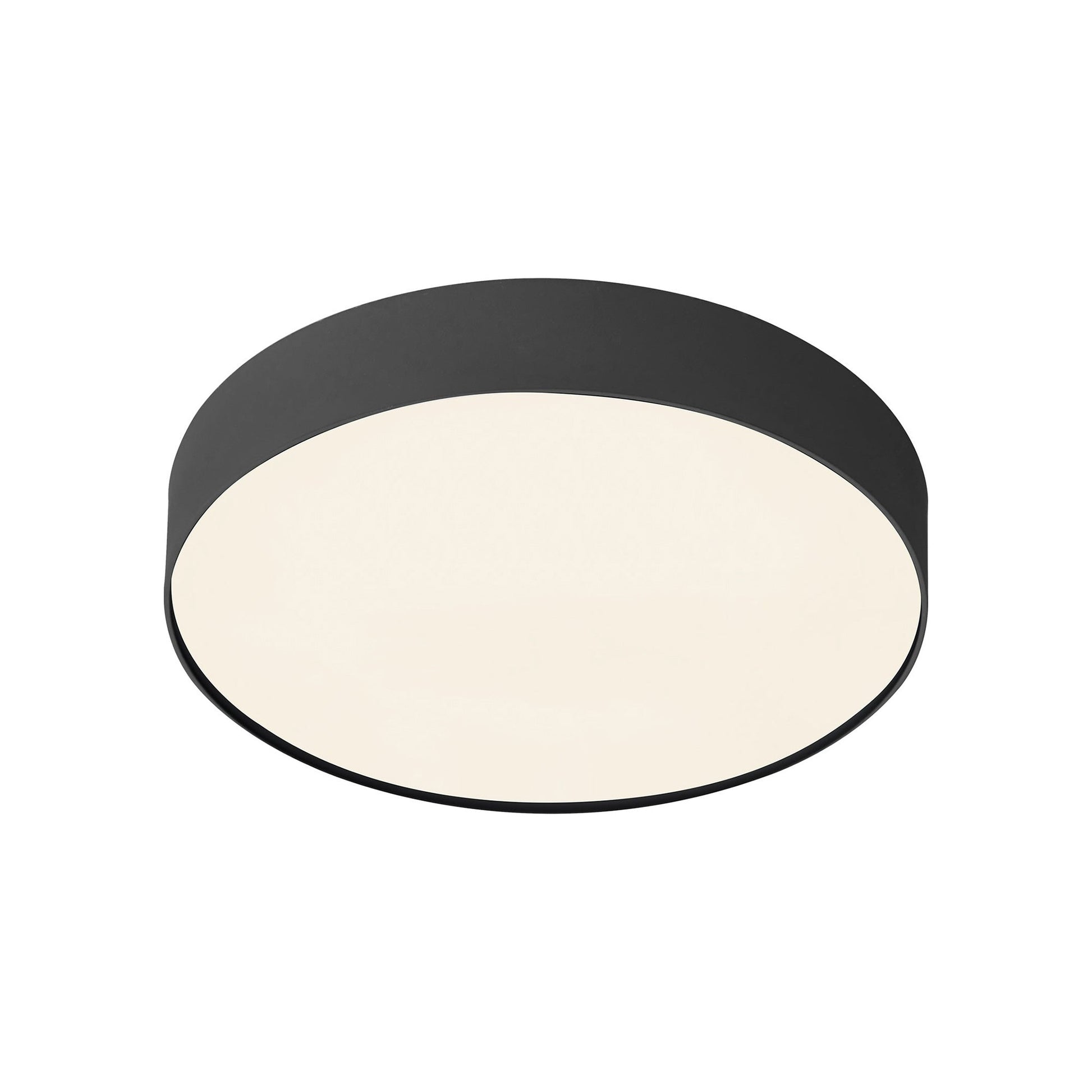 Rynn LED Flush Mount Ceiling Light in Detail.