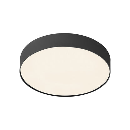 Rynn LED Flush Mount Ceiling Light in Detail.
