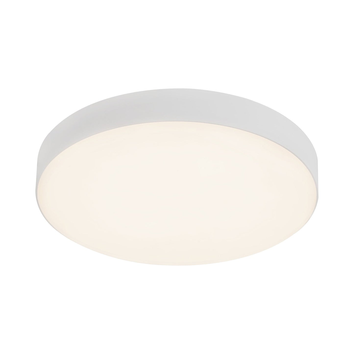 Rynn LED Flush Mount Ceiling Light in Detail.