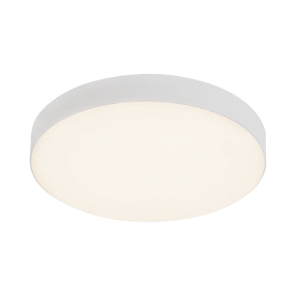 Rynn LED Flush Mount Ceiling Light in Detail.
