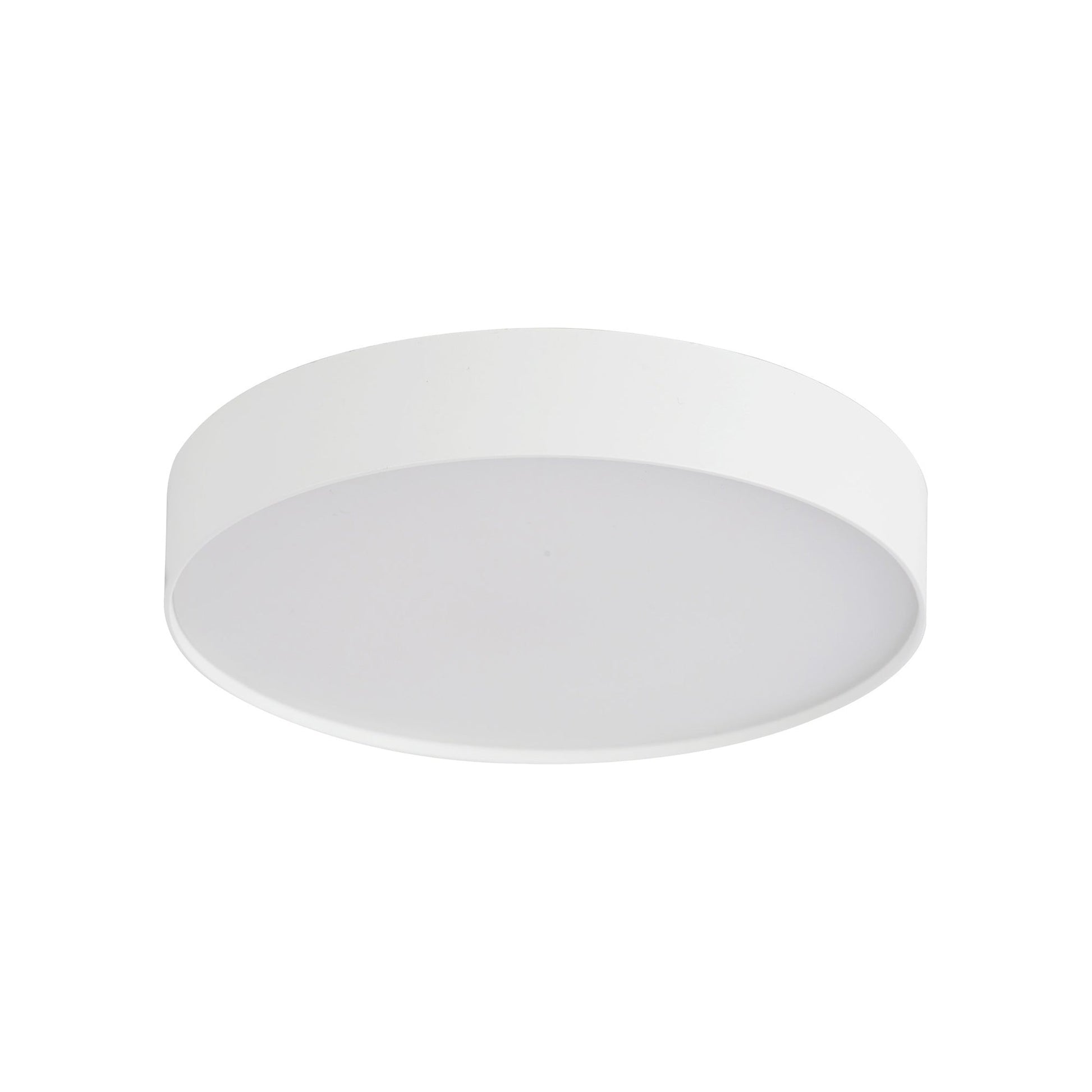 Rynn LED Flush Mount Ceiling Light in Detail.