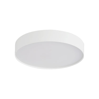 Rynn LED Flush Mount Ceiling Light in Detail.