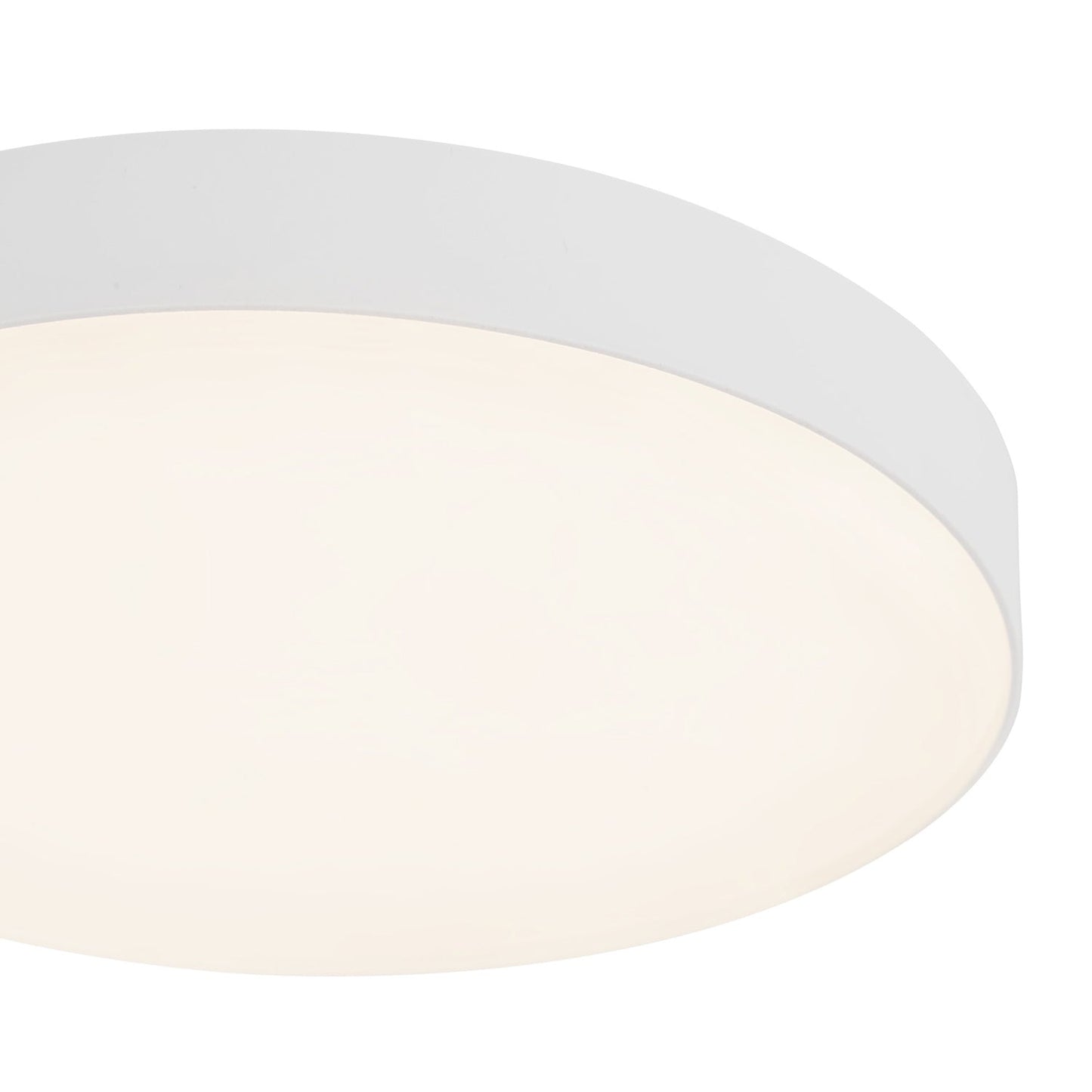 Rynn LED Flush Mount Ceiling Light in Detail.