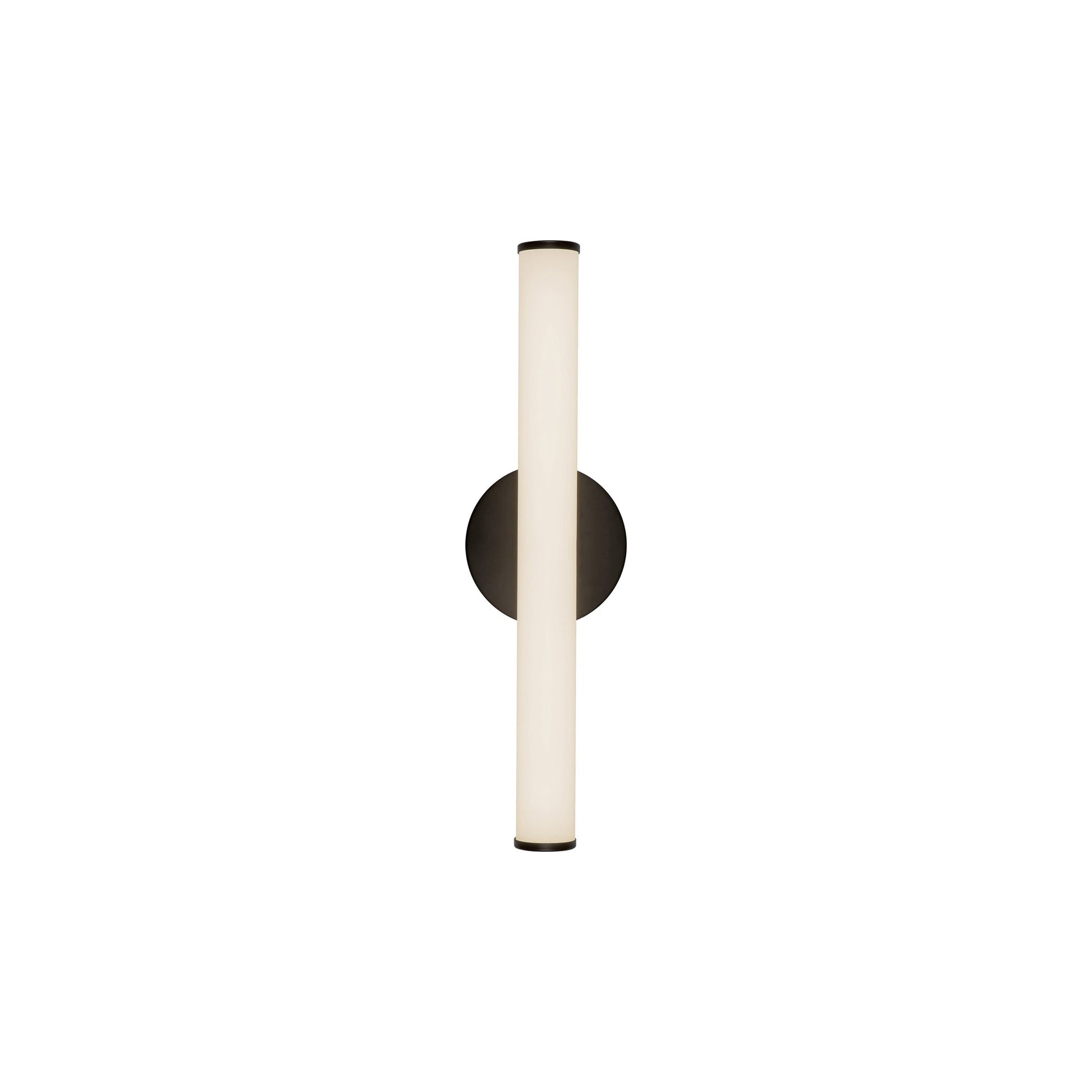 Tectra LED Bath Wall Light in Black (18.13-Inch).