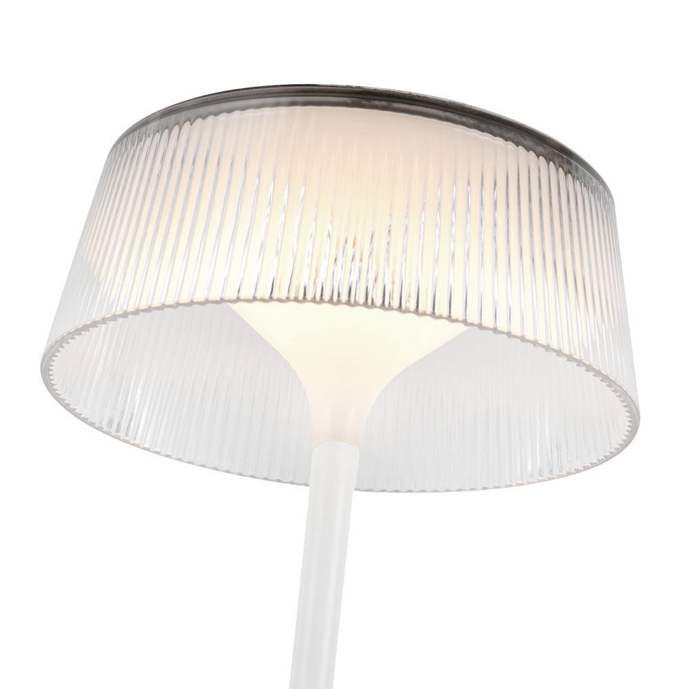 Tindra LED Table Lamp in Detail.