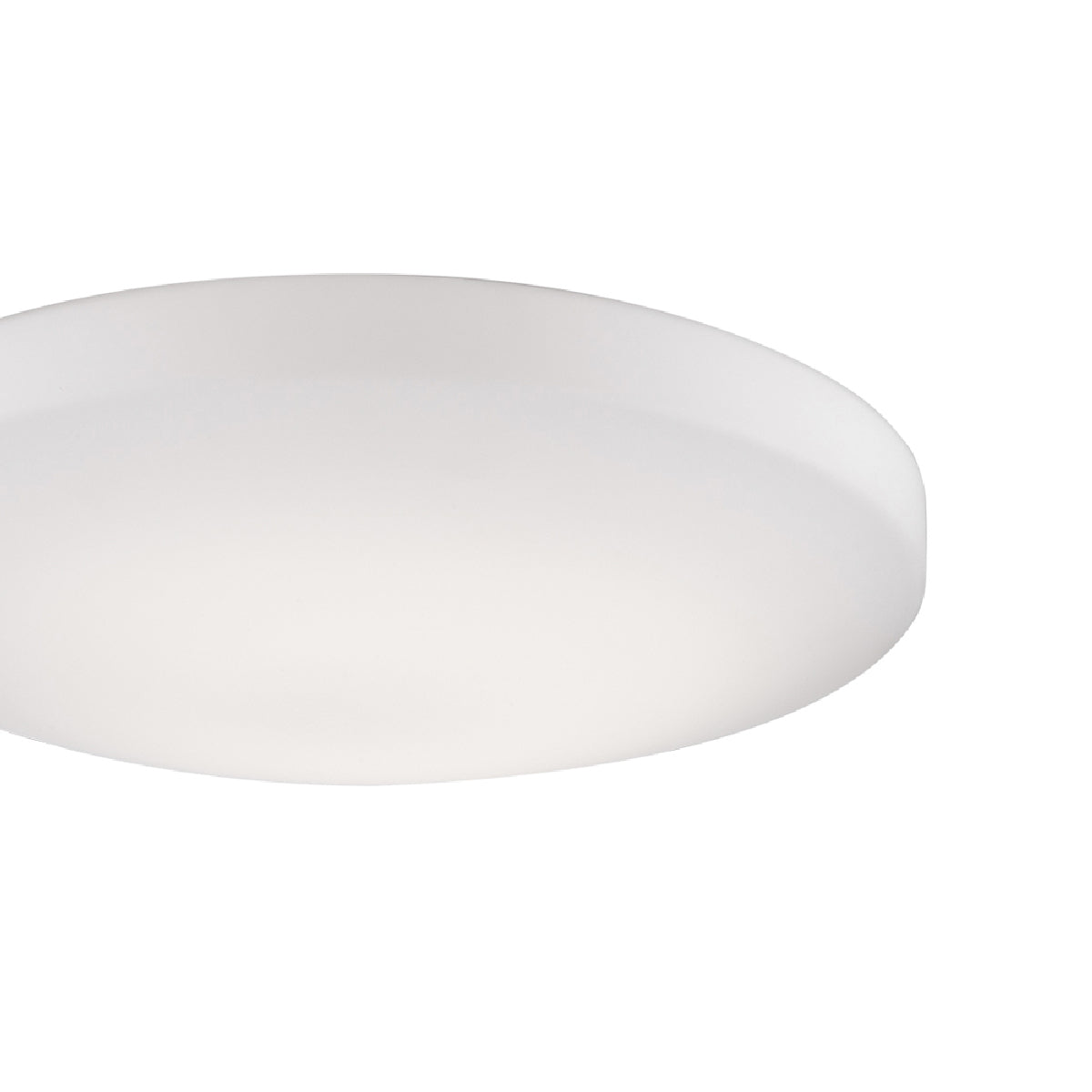 Trafalgar LED Flush Mount Ceiling Light in Detail.