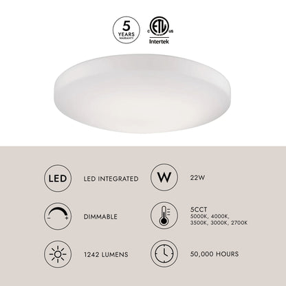 Trafalgar LED Flush Mount Ceiling Light in Detail.