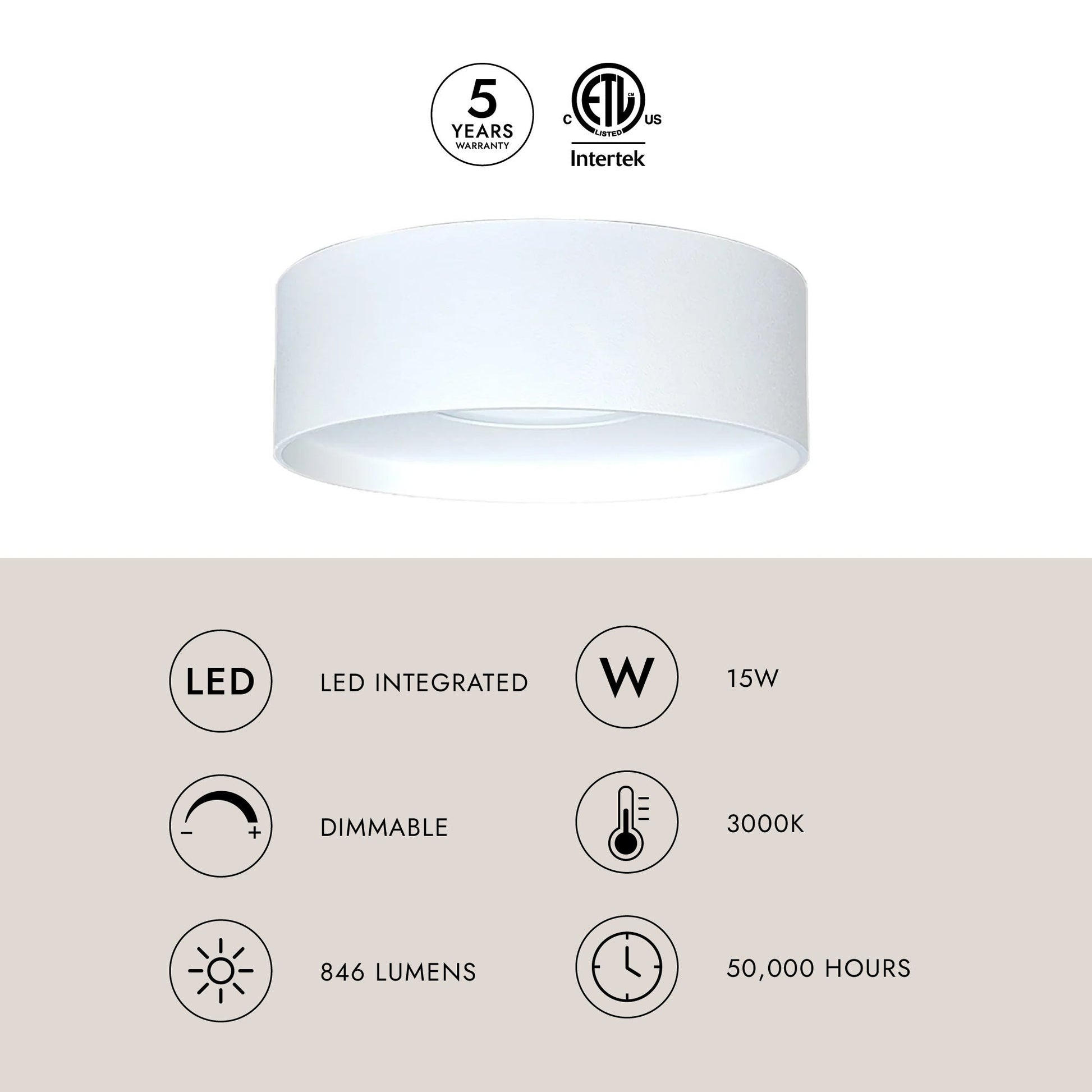 Trenton Outdoor LED Flush Mount Ceiling Light in Detail.