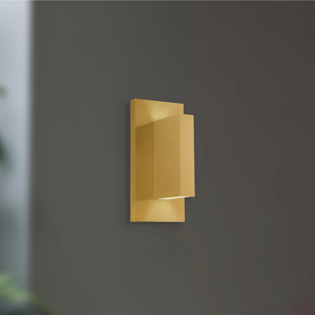 Vista LED Wall Light in Detail.