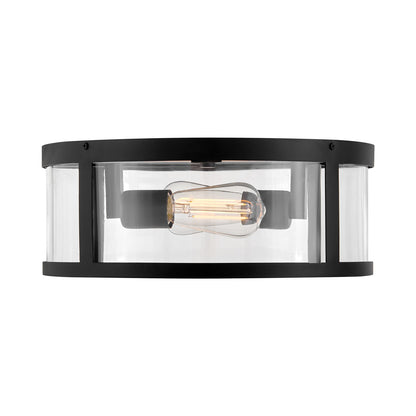 Alfie Outdoor Flush Mount Ceiling Light in Detail.
